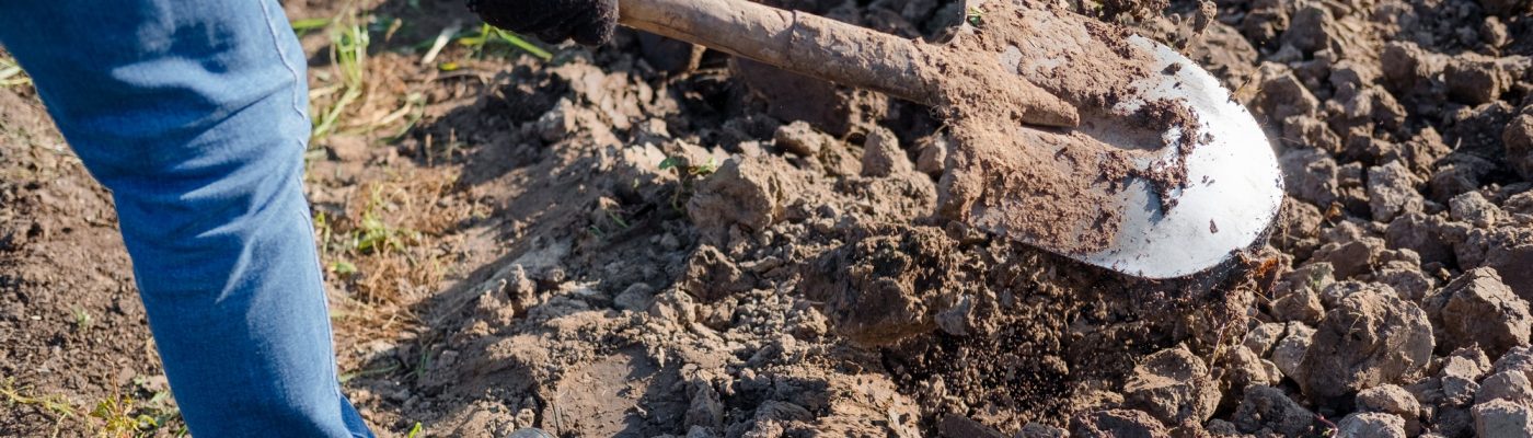 farmer working in a garden. Working with a shovel. dig up the ground. Plant a crop.